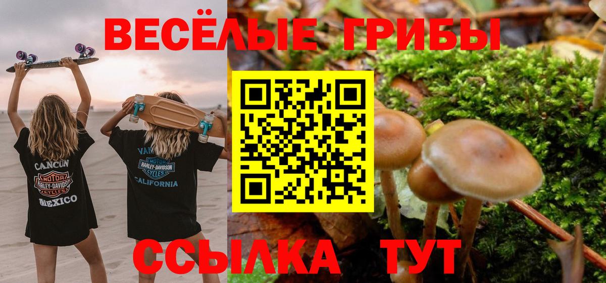 Псилоцибиновые грибы GOLDEN TEACHER Североморск